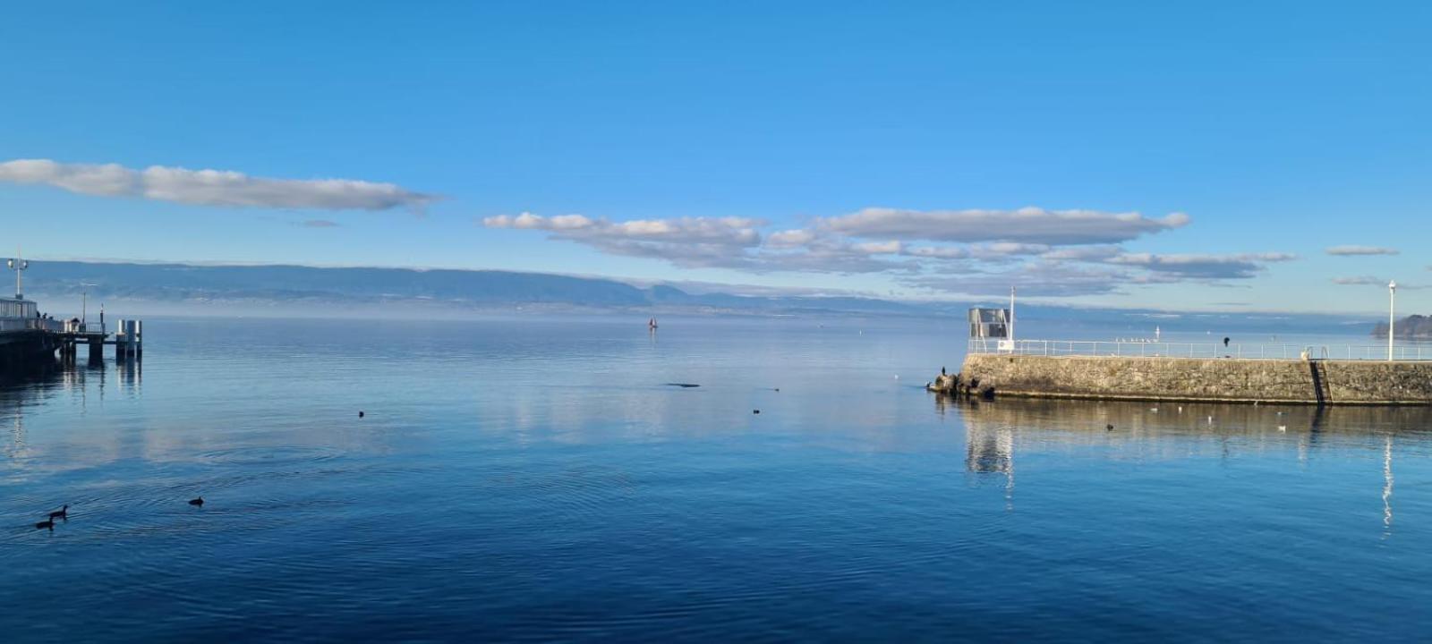 Apartament L'Eden Thonon-les-Bains Zewnętrze zdjęcie